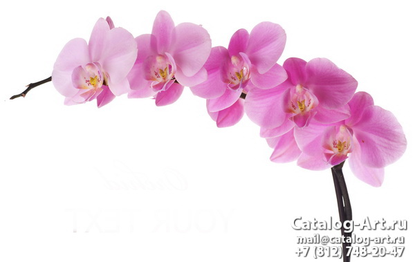 Натяжные потолки с фотопечатью - Розовые орхидеи 98